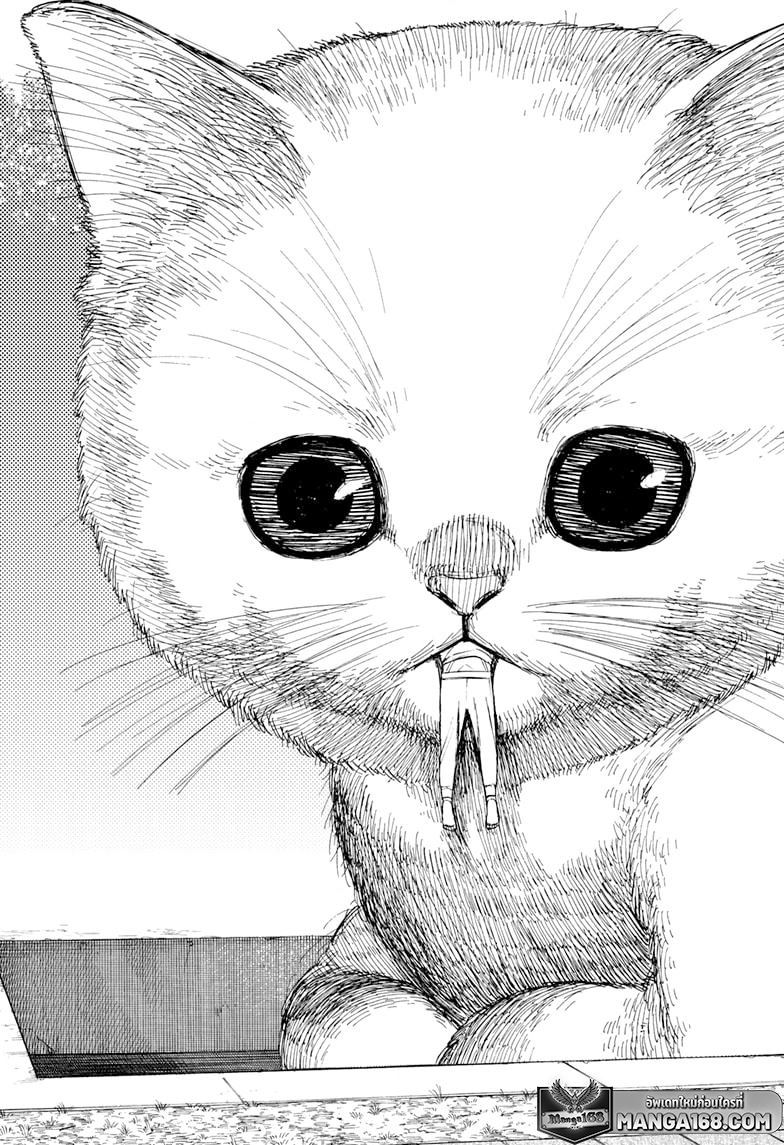 DANDADAN ตอนที่ 90 page 15